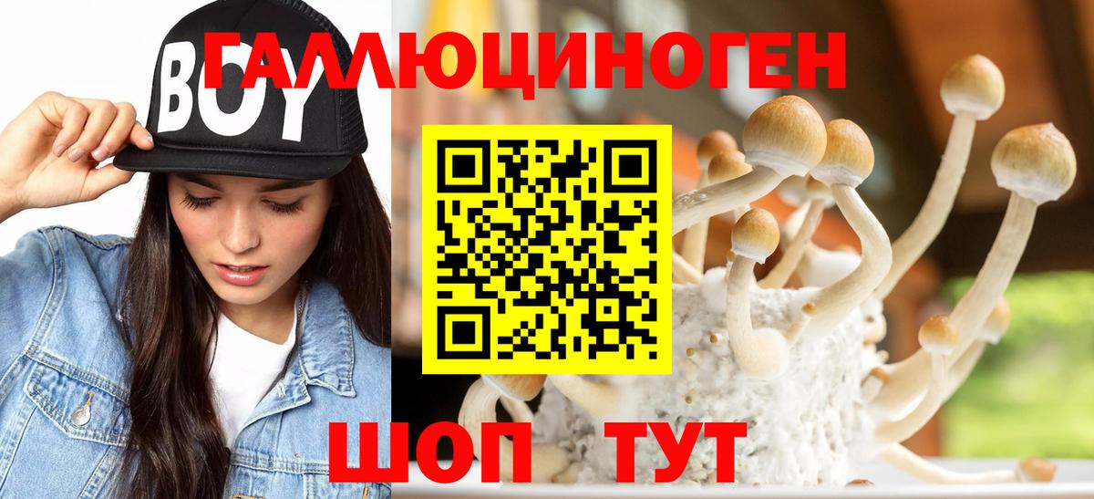 Саянск  Псилоцибиновые грибы MAGIC MUSHROOMS  Вход с VPN 